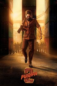 Pushpa 2 – The Rule (2024) reloaded version Original Hindi Dubded